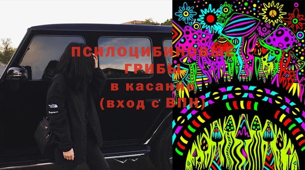 прущие грибы Ельня