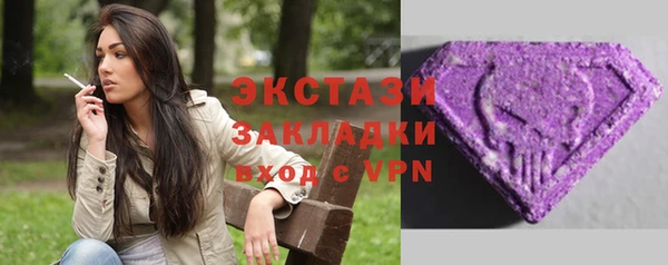 прущие грибы Ельня