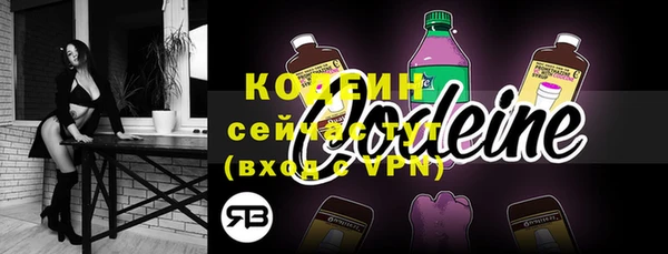 прущие грибы Ельня