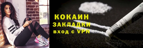 прущие грибы Ельня