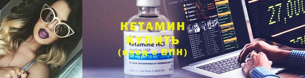 прущие грибы Ельня