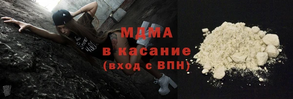 прущие грибы Ельня