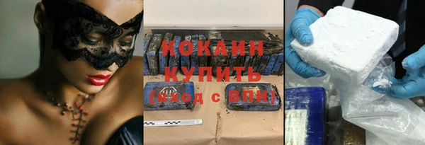 прущие грибы Ельня