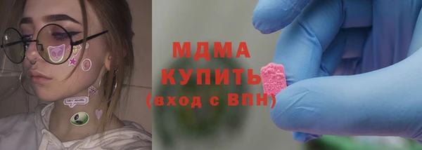 прущие грибы Ельня