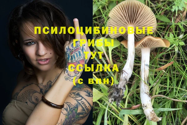 мефедрон Елизово