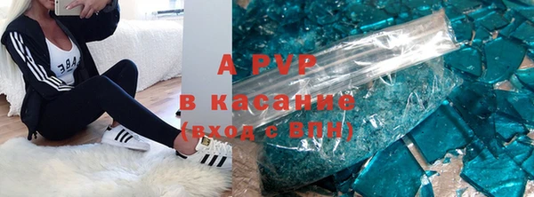 прущие грибы Ельня