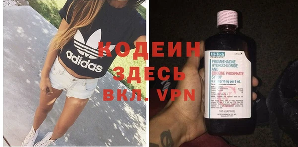 прущие грибы Ельня
