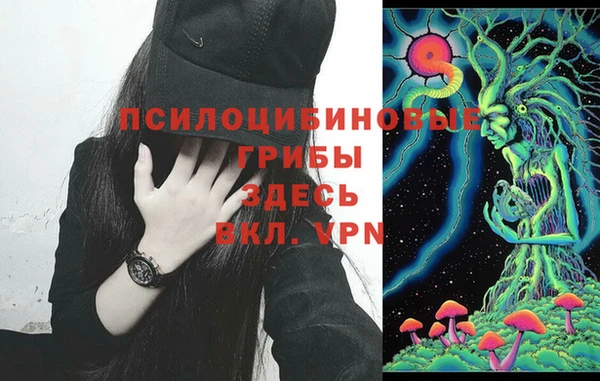 прущие грибы Ельня
